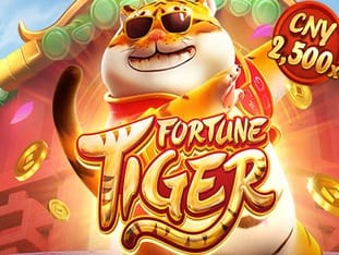Fortune Tiger icon